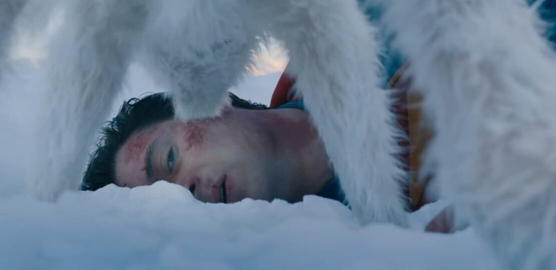 superman-krypto-a-dynamic-duo-%ec%8a%88%ed%8d%bc%eb%a7%a8%ea%b3%bc-%ed%81%ac%eb%a6%bd%ed%86%a0-%ed%99%98%ec%83%81%ec%9d%98-%ec%bd%a4%eb%b9%84-cover-me-%eb%82%b4-%eb%92%a4%eb%a5%bc