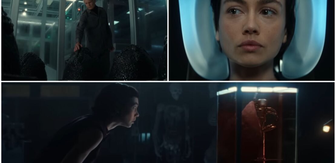 Here’s Our Alien: 지구 시즌 1 4화 – What are human beings curious about? – 인간은 무엇을 궁금해할까?