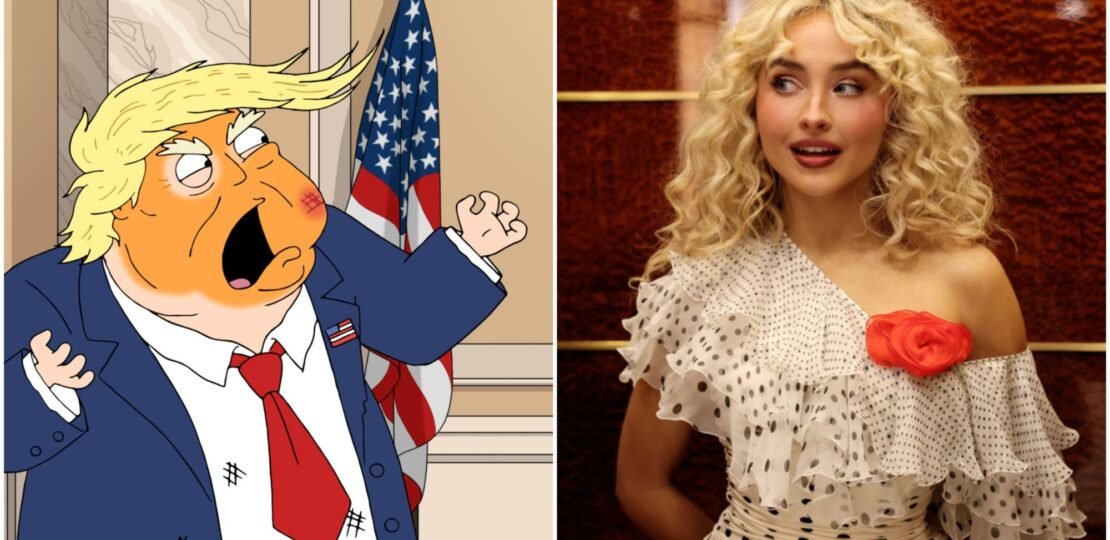 Sabrina Carpenter “Nonsense” Controversy & White House ICE Video Deletion: Key English Phrases & Translations