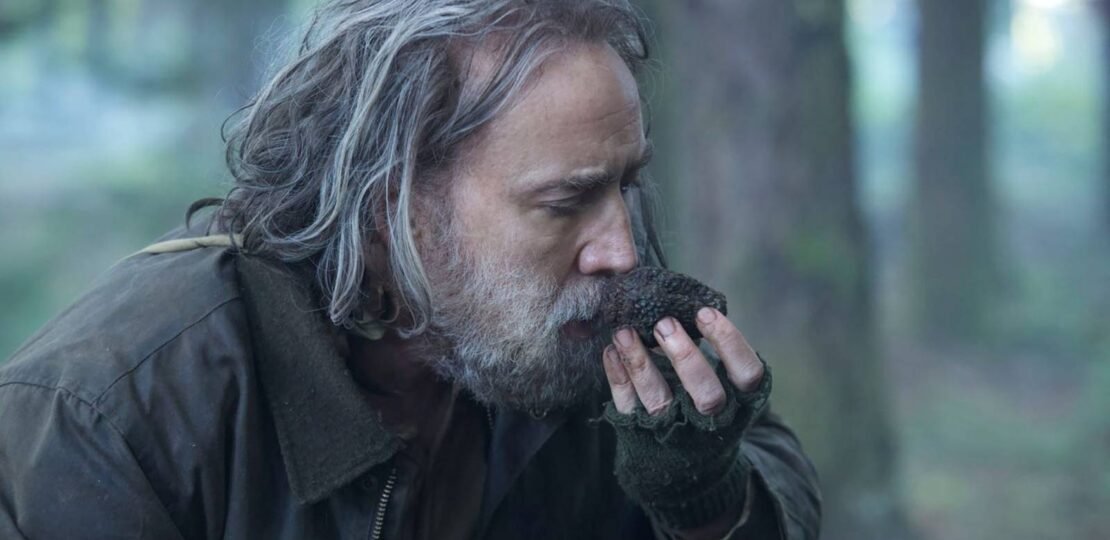 Pig (2021) OST – ‘Leaving the Farm’ by Michael S. McDonald (농장으로 돌아가다)